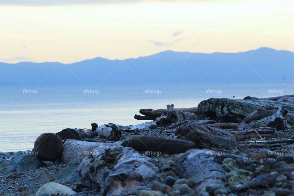 A shot of the beach. The foreground strewn with driftwood and rocks, behind is the calm and misty blue ocean water framed behind with a silhouette of the mountains. 