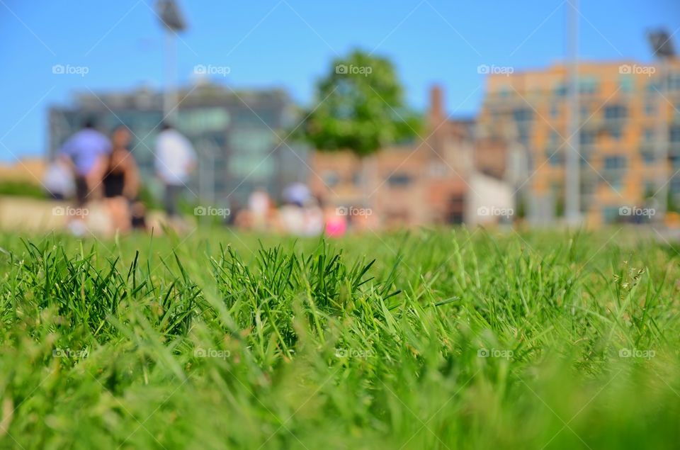 Sleeping in the park