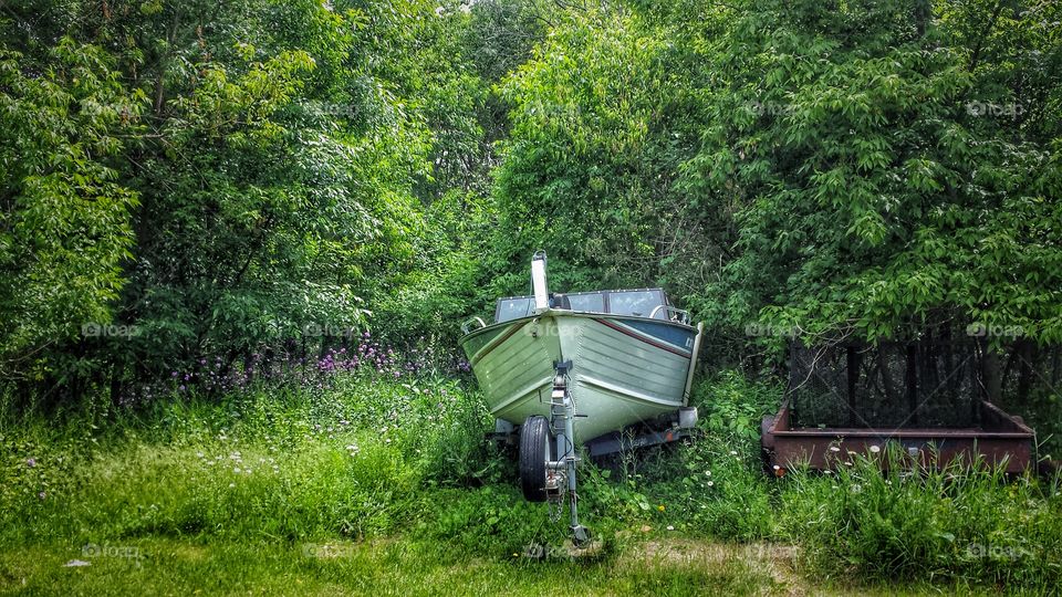 Boat Amongst Trees