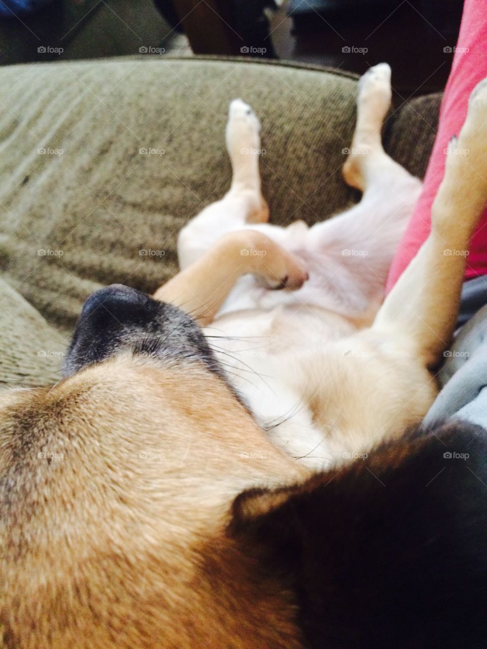 Laid back and relaxing 