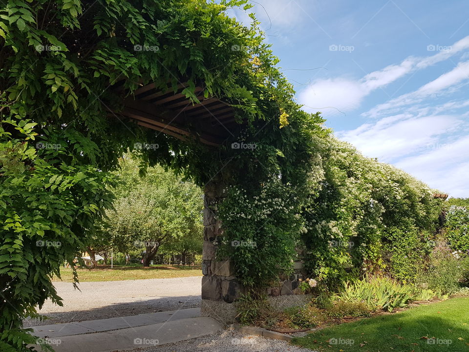 Beautiful stown fence