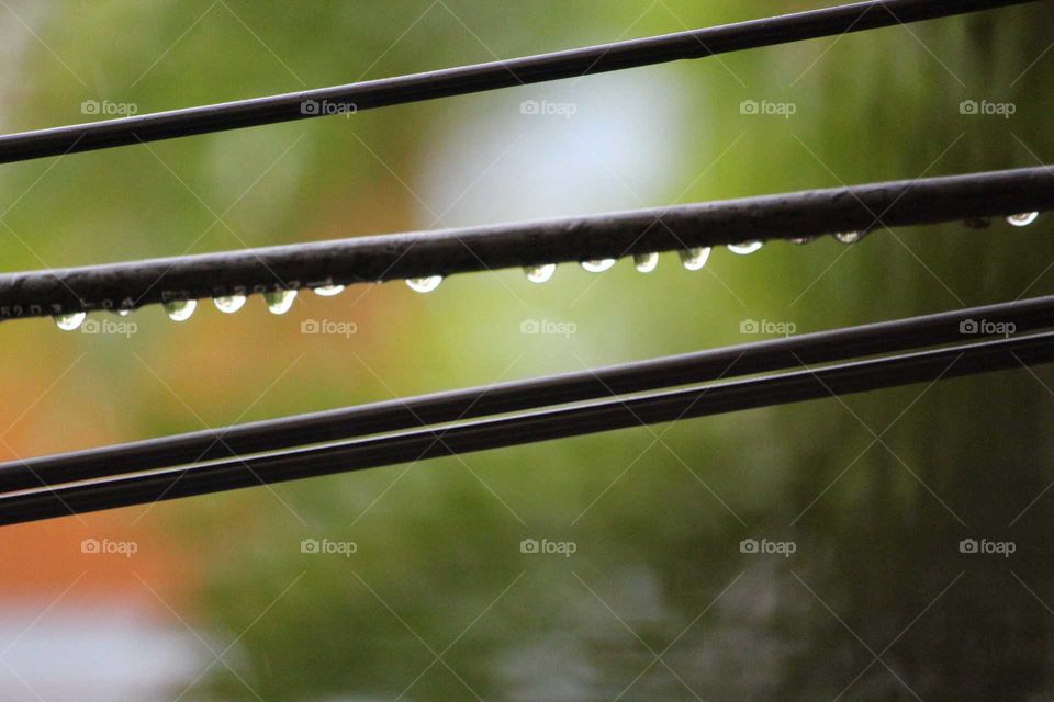 rain droplets