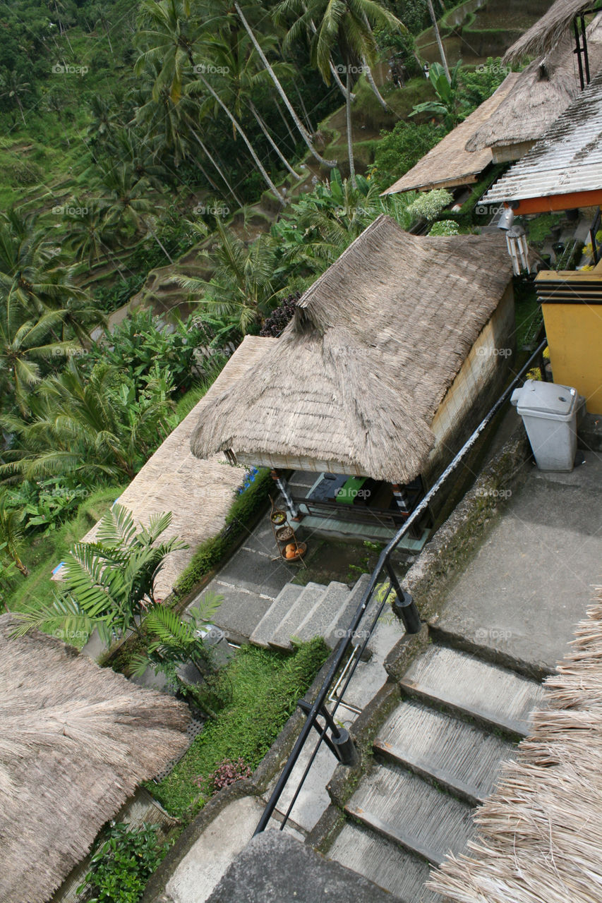 bali hut