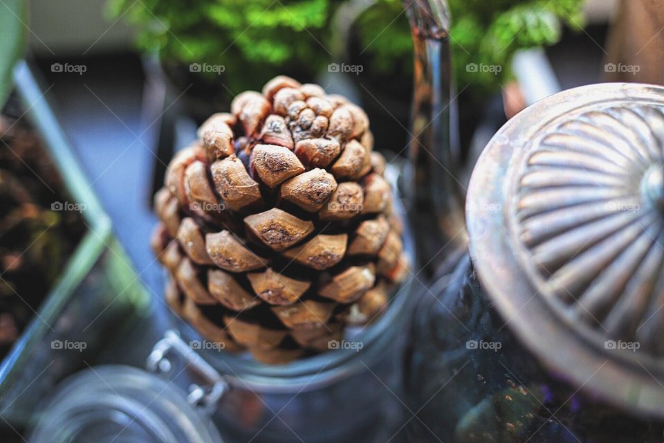 A pine cone in glass jar