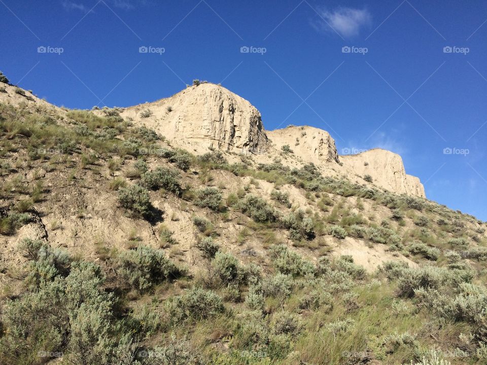 Scenic Kamloops mountain hike! 