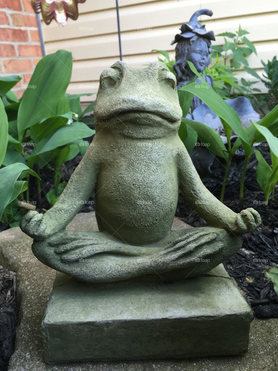 Zen Frog