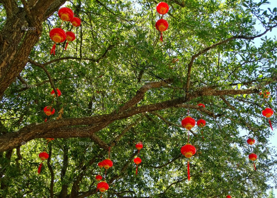 Red Chinese Lanterns