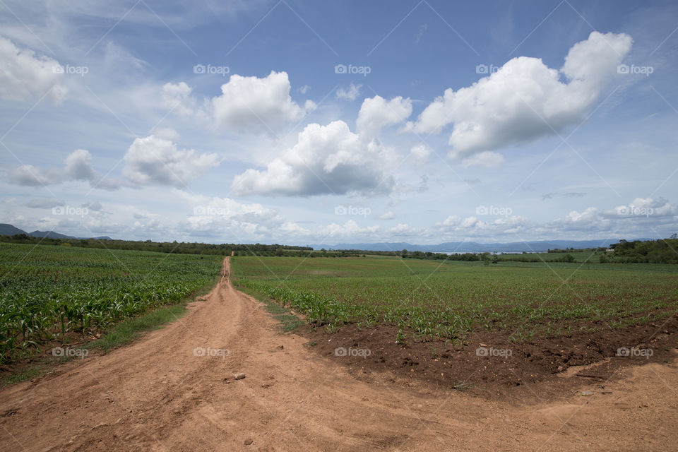 Dirt local road