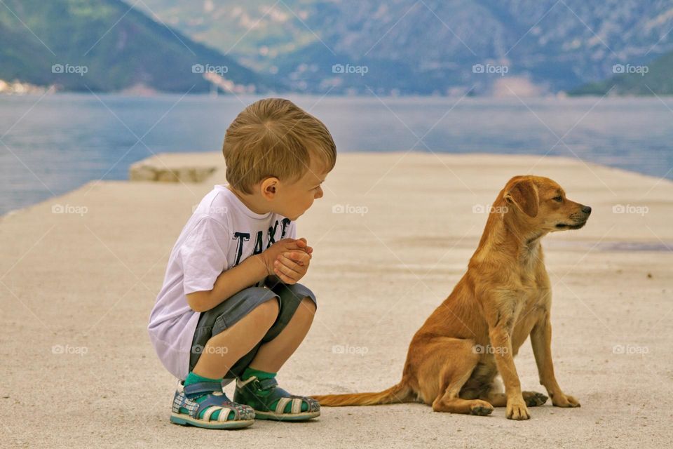 Friendship between a puppy and a boy