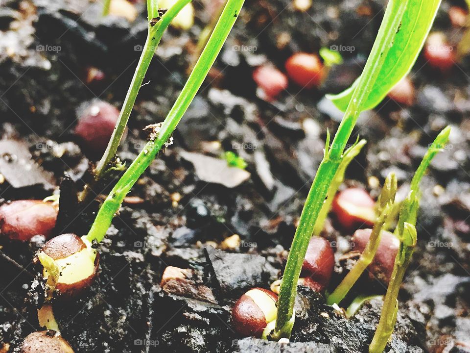 Captured with iPhone 6s Plus 