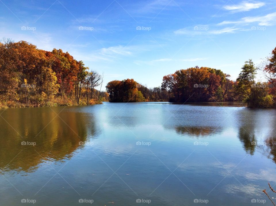 Scenic view of idyllic lake