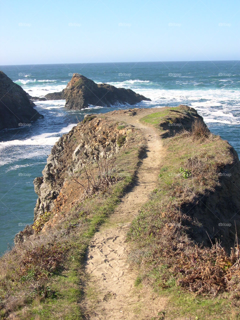 Pathway to the sea. Pathway in the Mendocino headlands