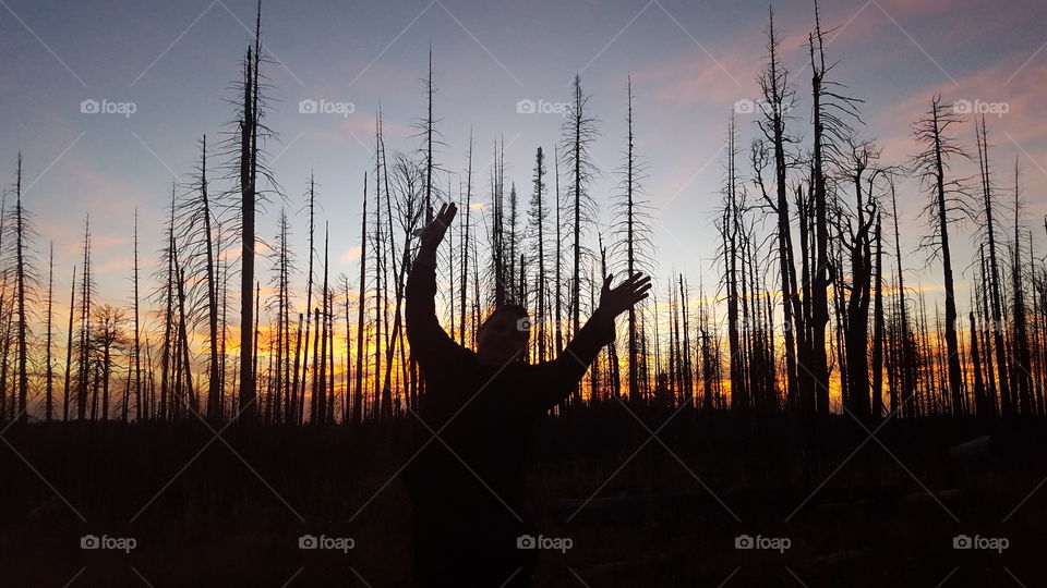 sunset at White Mountains