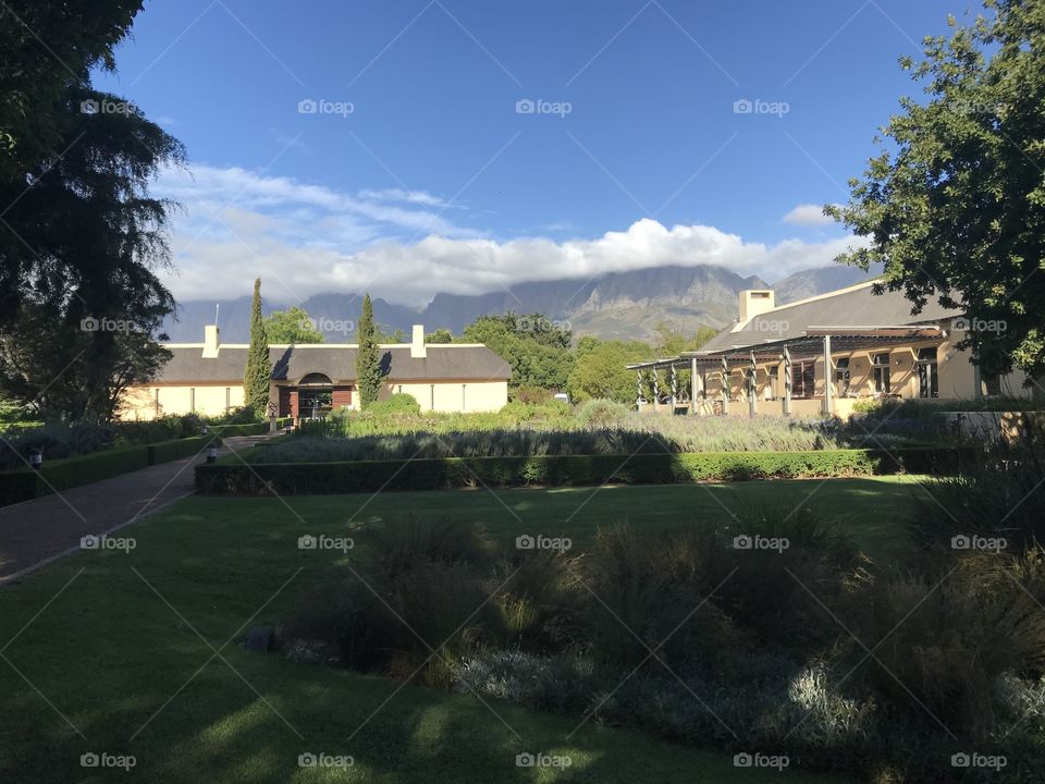 Your local treasure! Beautiful gardens in front of the farmhouse with mountain in background 