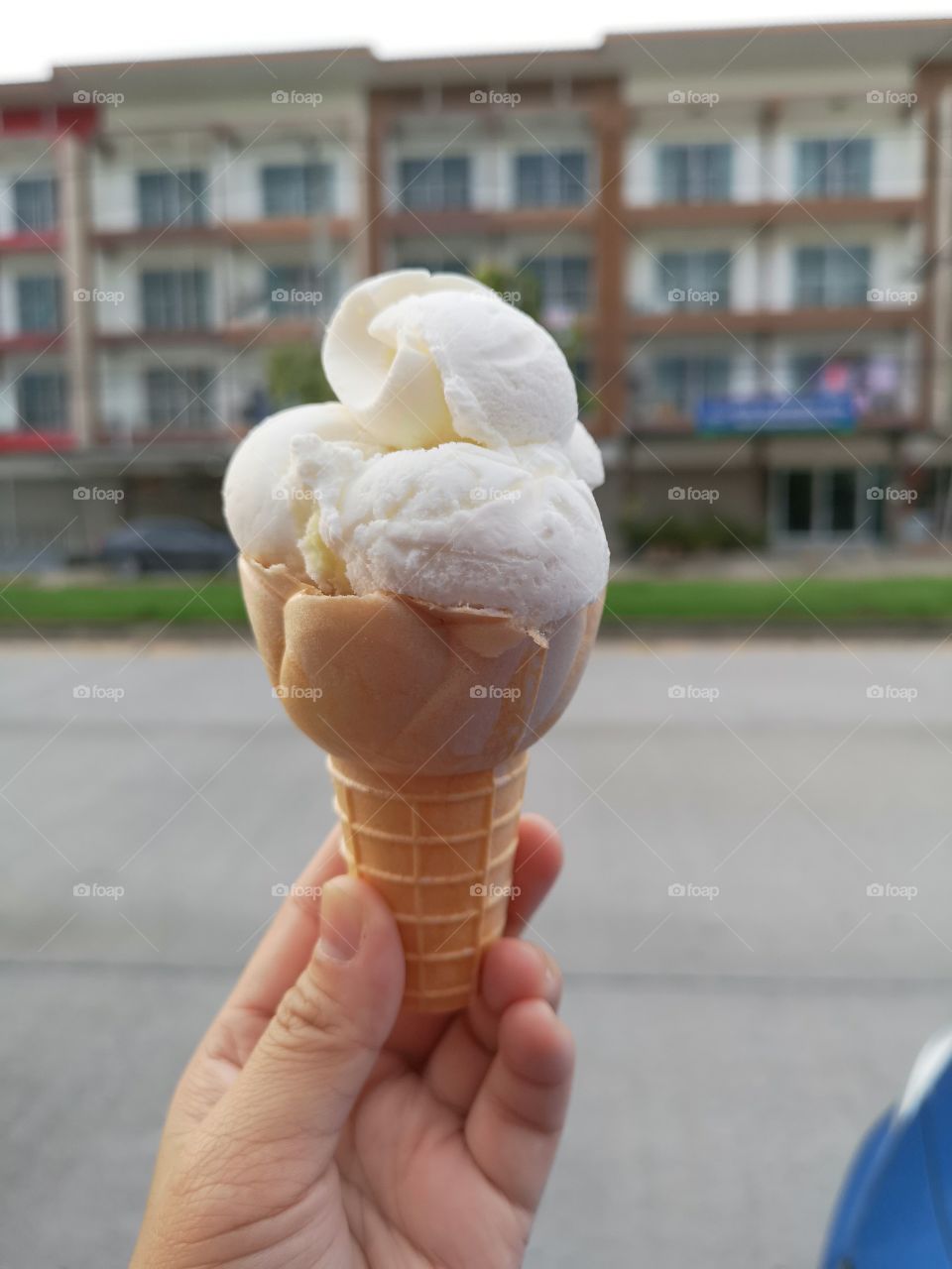 Coconut Milk Ice Cream