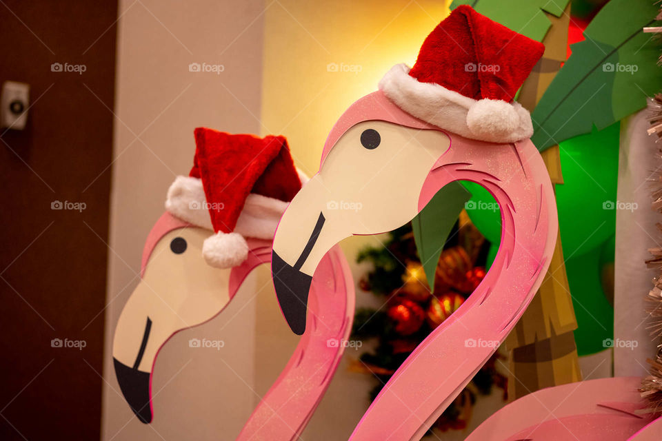 Christmas flamingos in Santa hats for a tropical holiday party event 
