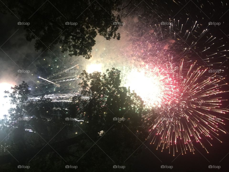 Fireworks through trees