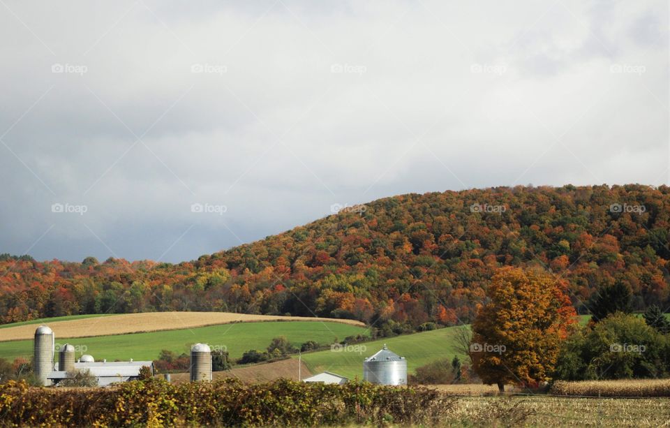 Farm on the mountain side in Autumn