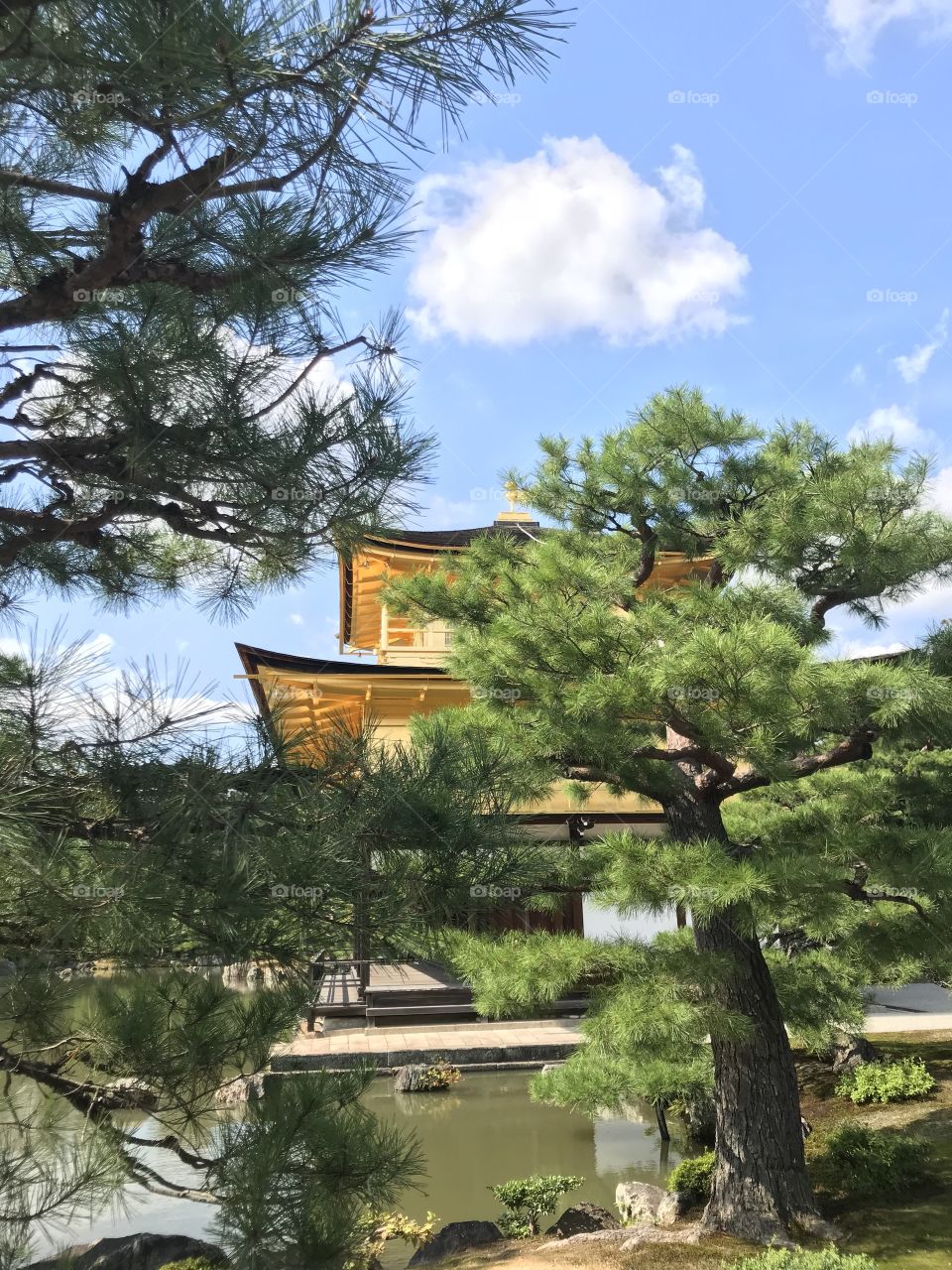 Kyoto#Giappone#Japan#TempioD’Oro#