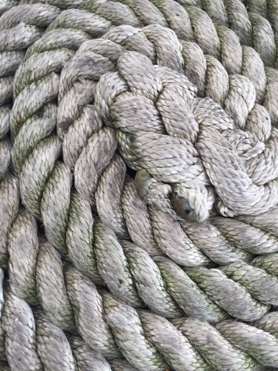 A rope in the sun 