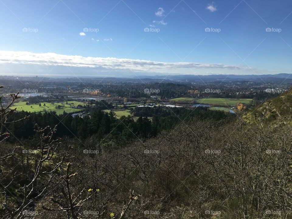 City view from Mt. Doug