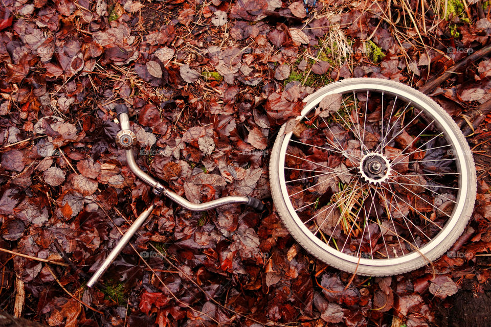 Decomposed bicycle parts. Decomposed bicycle wheel and handlebars with bell abandoned in the woods.
