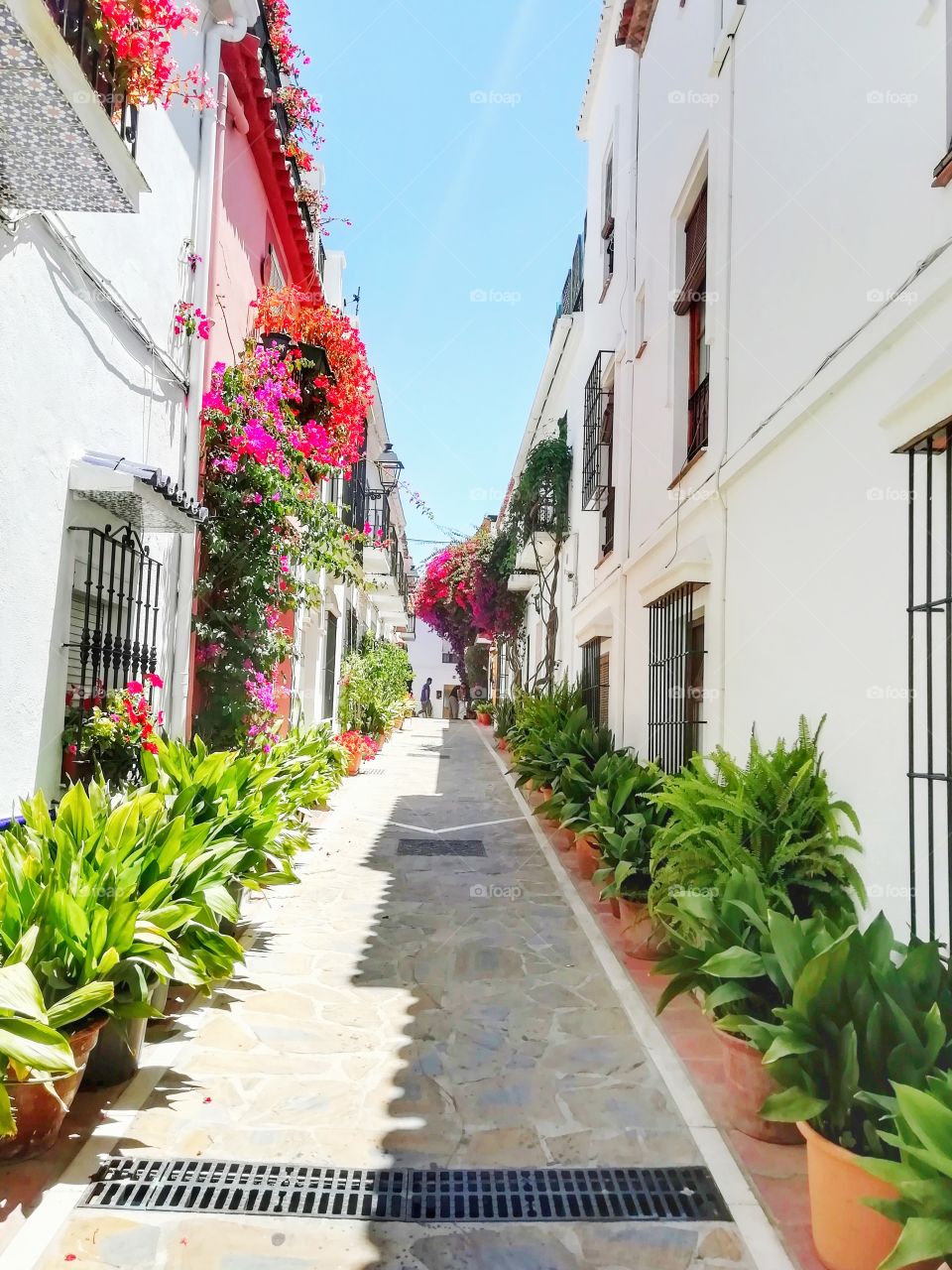 Quiet Spanish street lined with plants and flowers