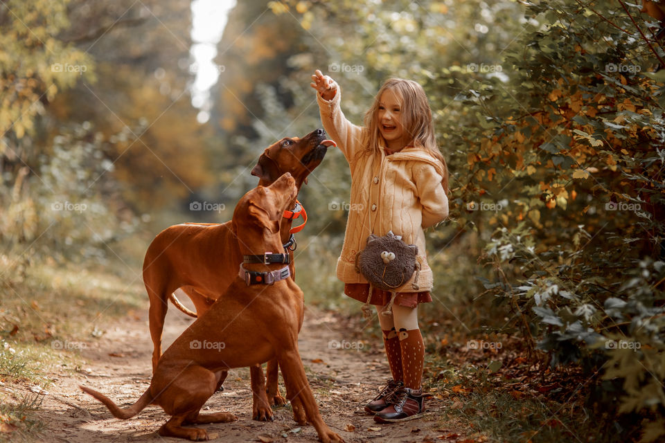 Little girl playing with dogs in an autumn park