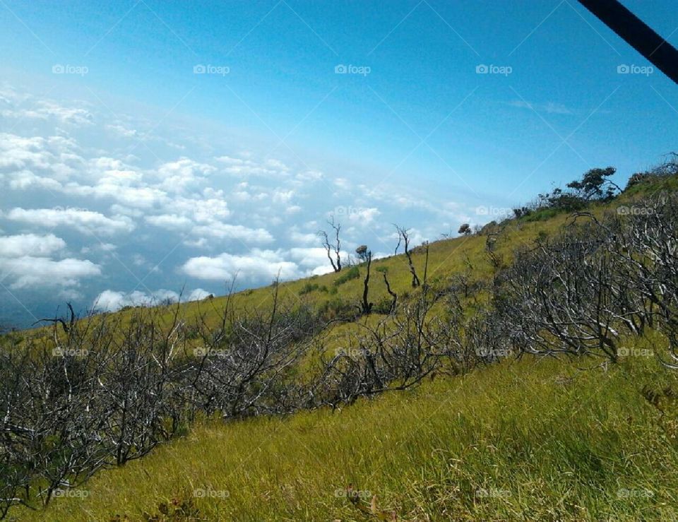 samudra di atas awan