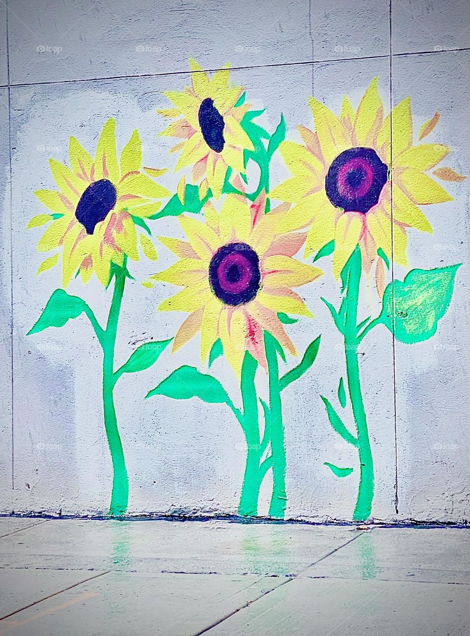 These sunflowers artfully painted on a wall on Fulton Street in Fort Greene, Brooklyn, NY were sighted when we sought refuge underneath an awning on a rainy day waiting for a car to pick us in 2021. Hypnotic Productions