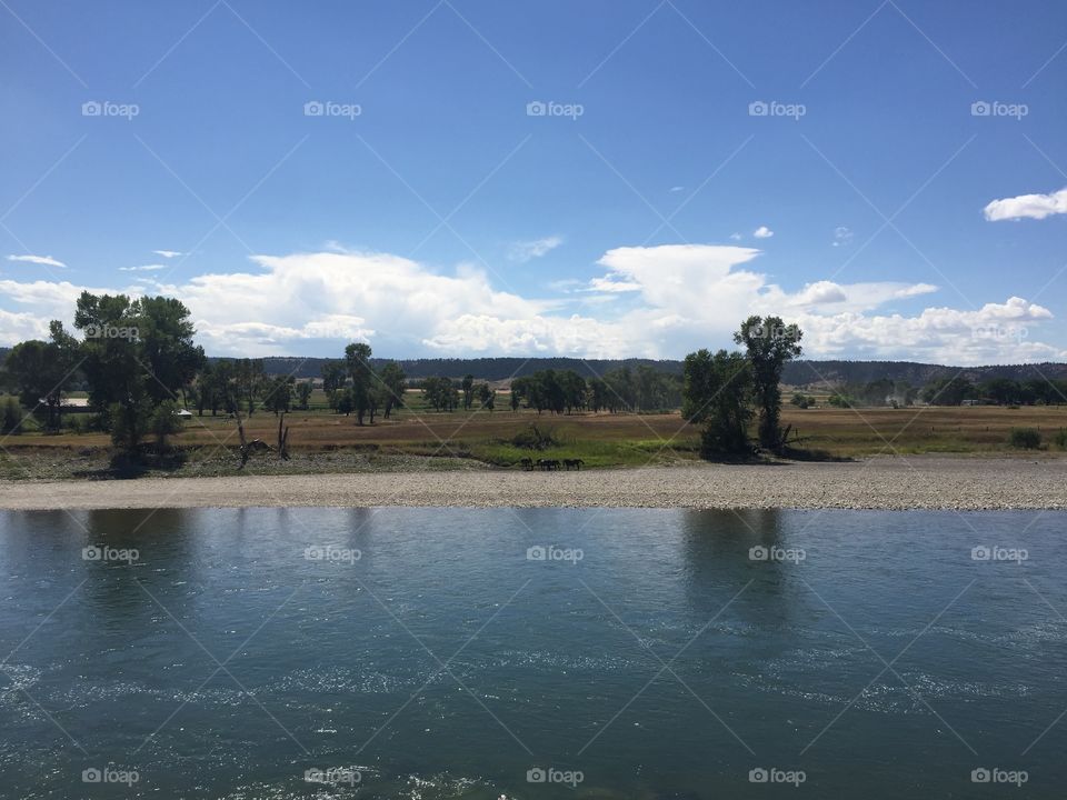 Water, River, Tree, Lake, Landscape