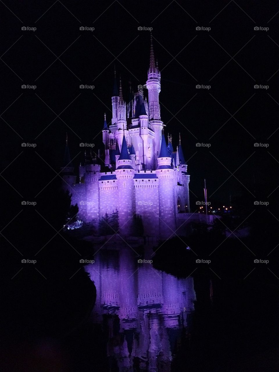 Disney world castle