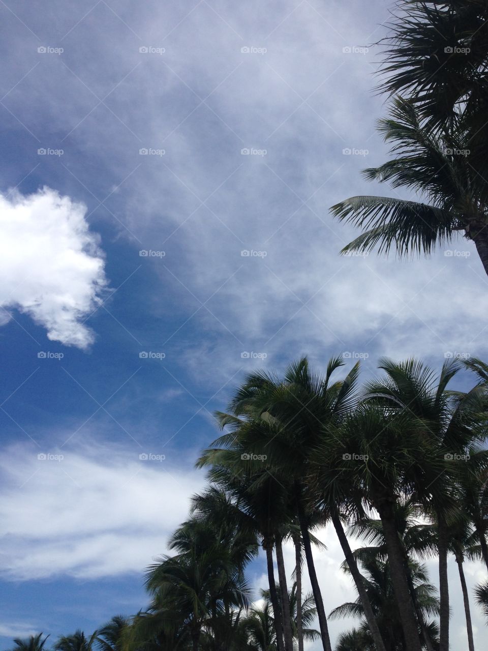 Florida sky. Sky in Ft Lauderdale Florida USA