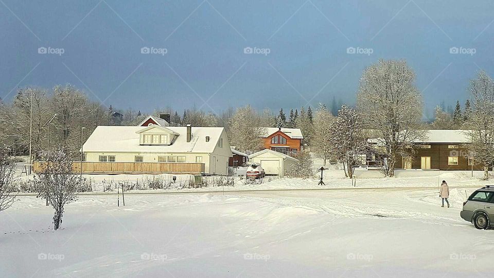 Waking up one morning and it looks like this! Amazing, just over a night, the winter had come!! 😀👌❄