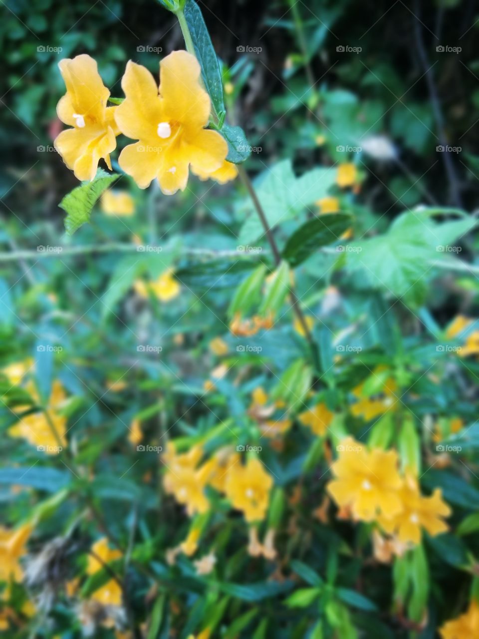 Don't Know What to Call You