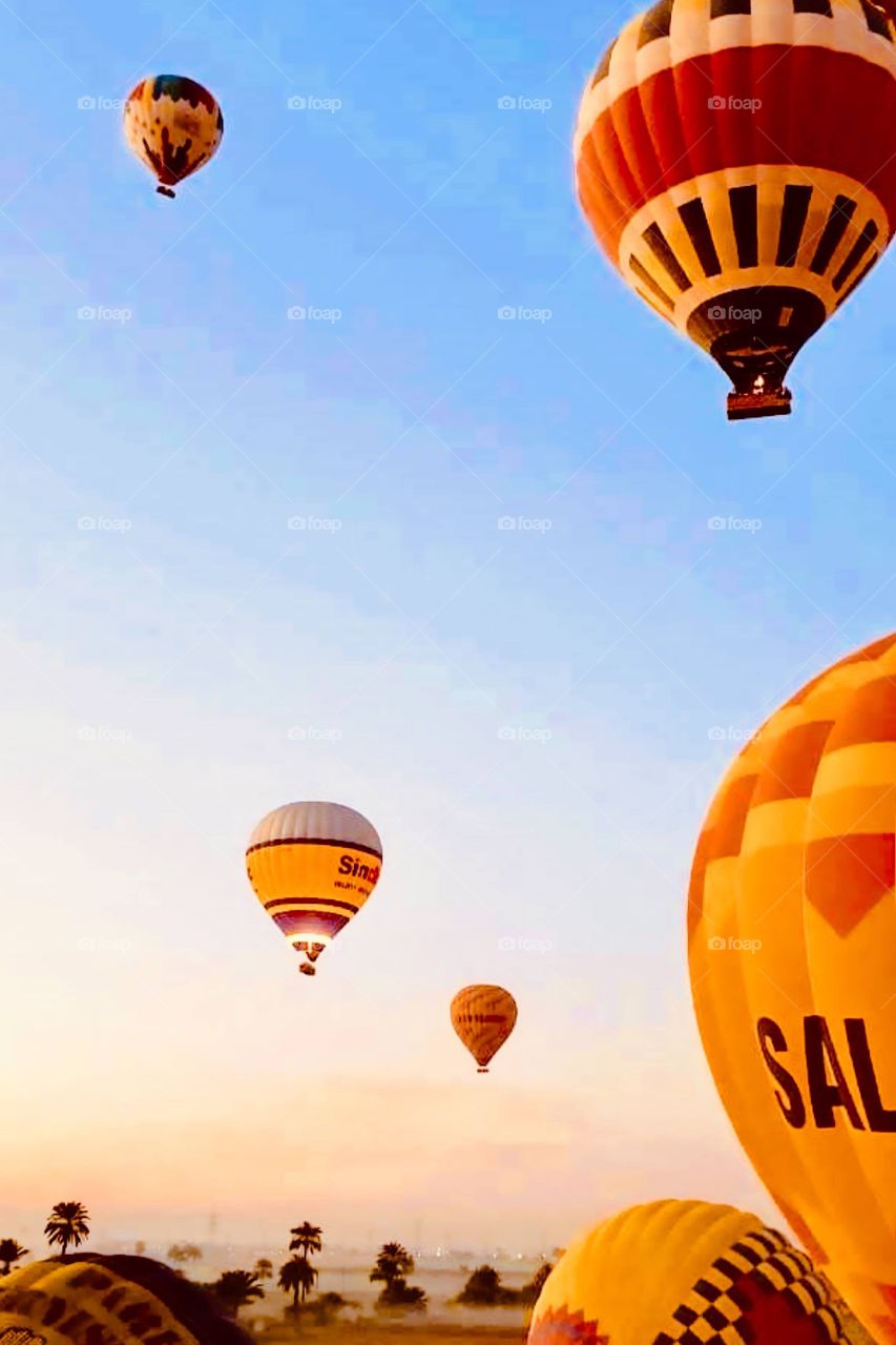 Orange Balloons o blue sky