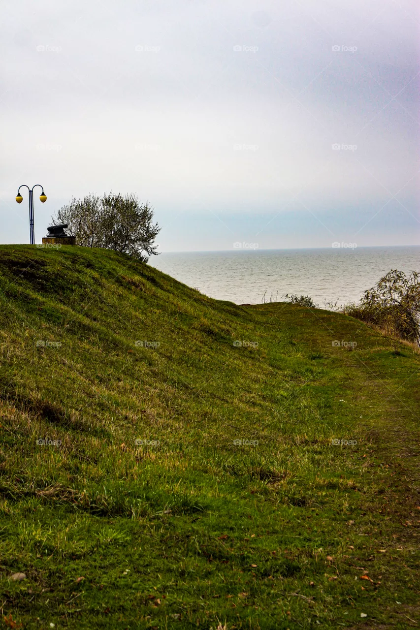 Green lawn