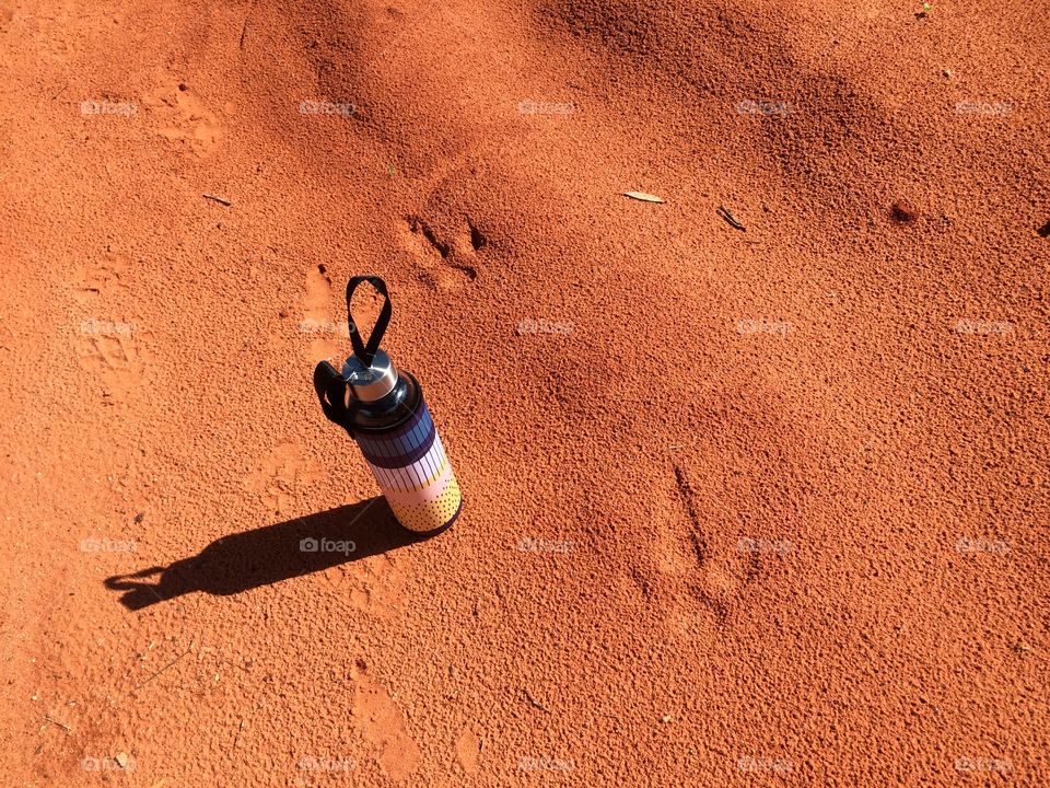 Tracks of kangaroo