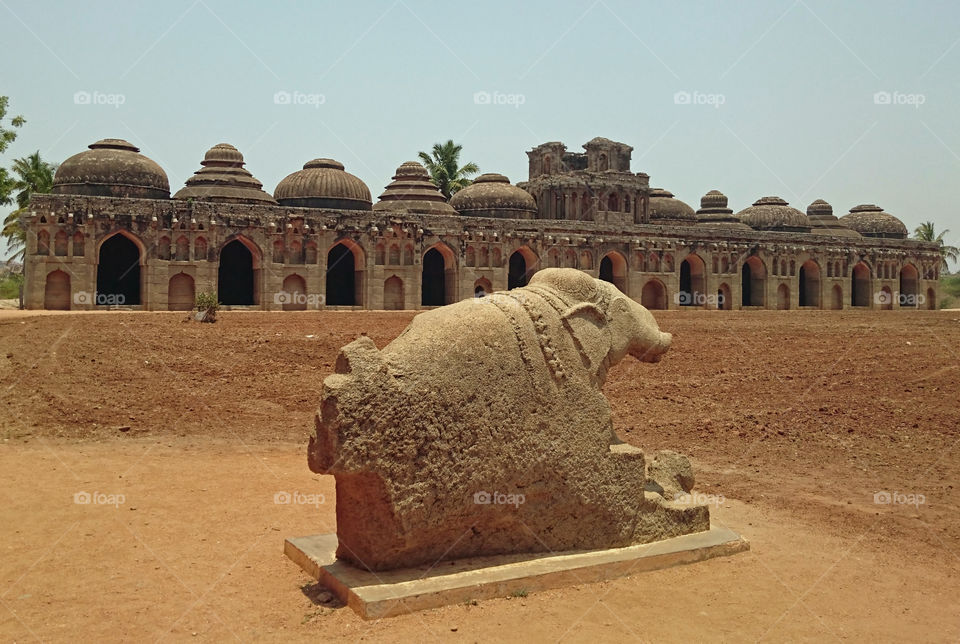 Elephant Staple - Hampi