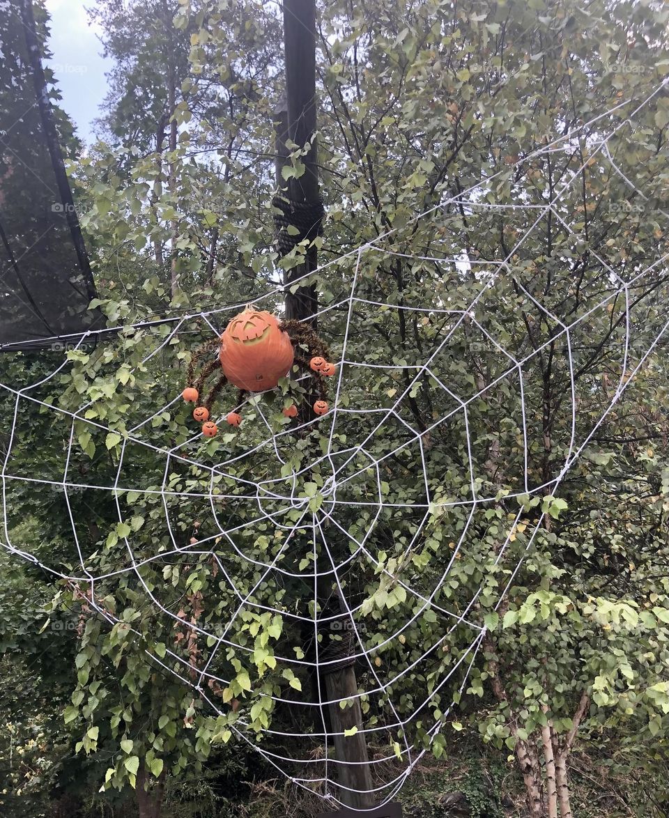 Unique Spider Web, Fall Holiday Decorations displayed inside Dollywood Theme Park at Pigeon Forge Tennessee. 