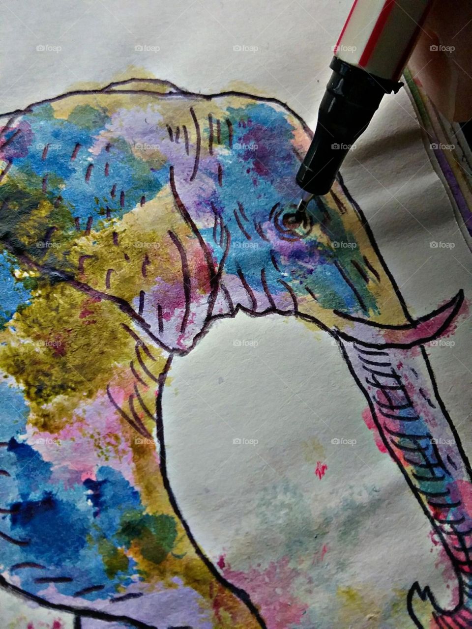 Os traços em detalhe do elefante colorido.