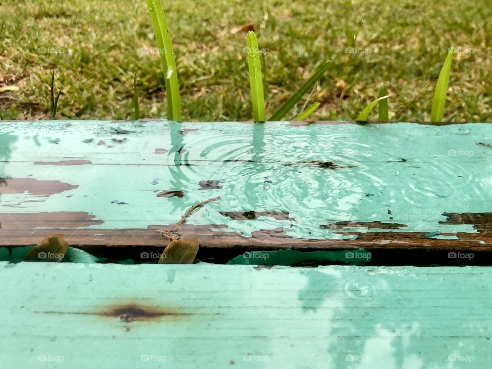 Rain on painted porch step