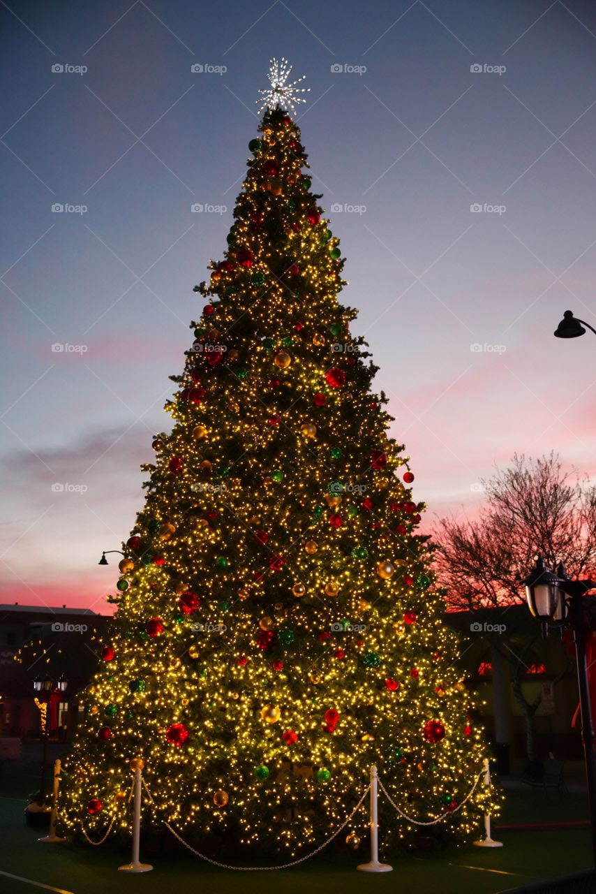 Christmas tree in downtown Mesa