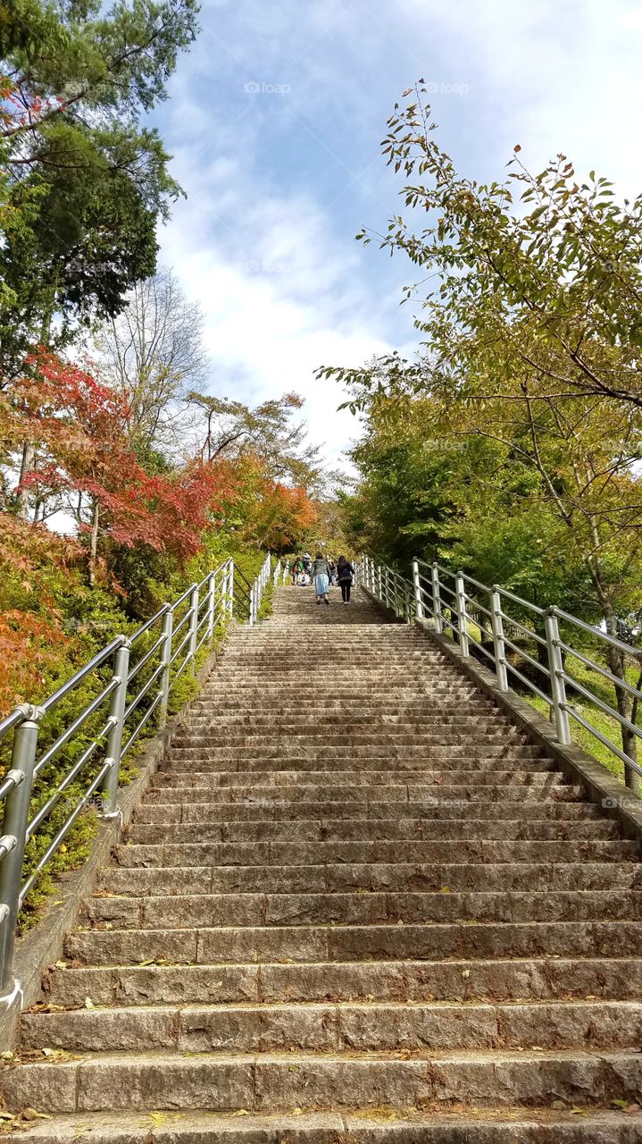 Hiking stairs trails