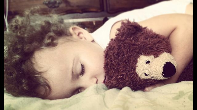 teddy