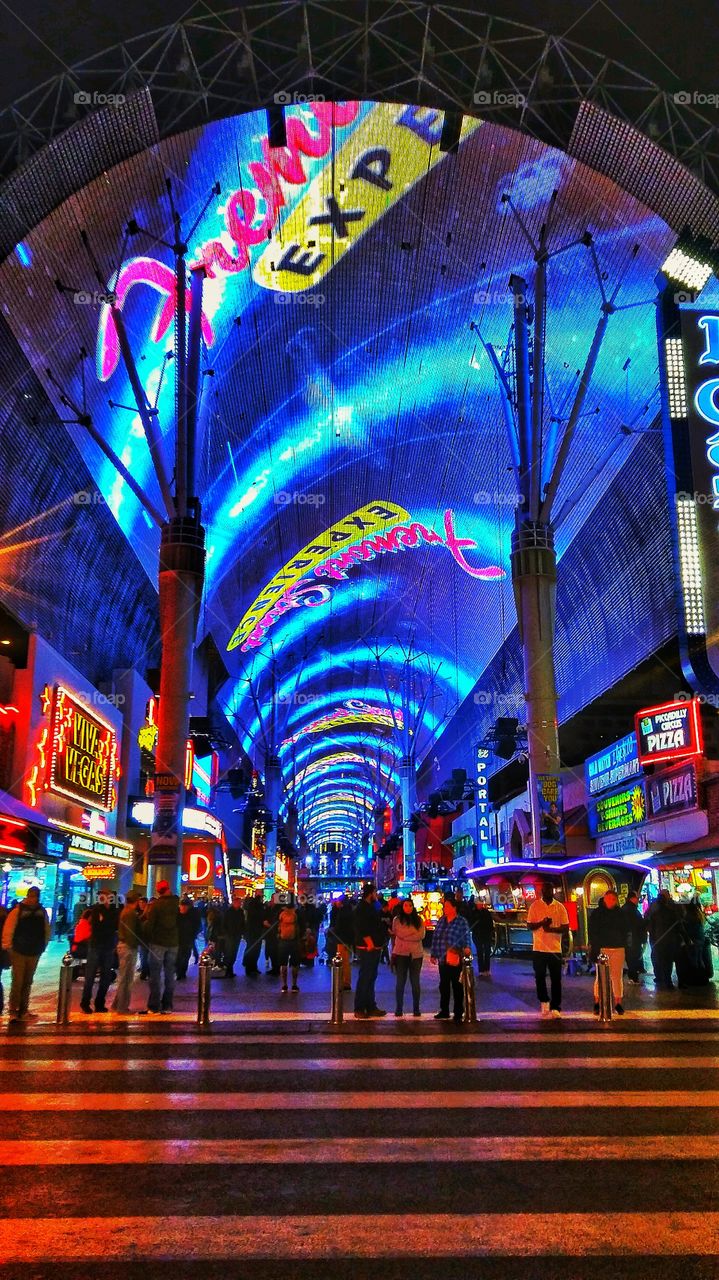 The Fremont Experience