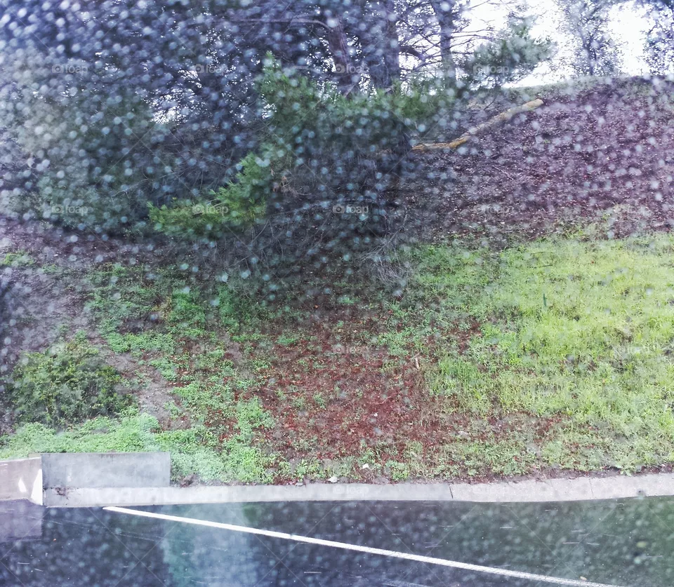 Rainy day