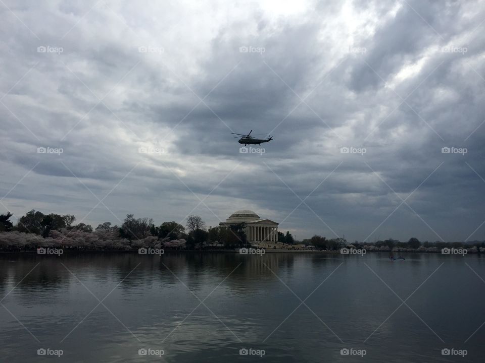 Presidential Helicopter Flies Over Jefferson Memorial. Presidential Helicopter Flies Over Jefferson Memorial during National Cherry Blossom Festival.