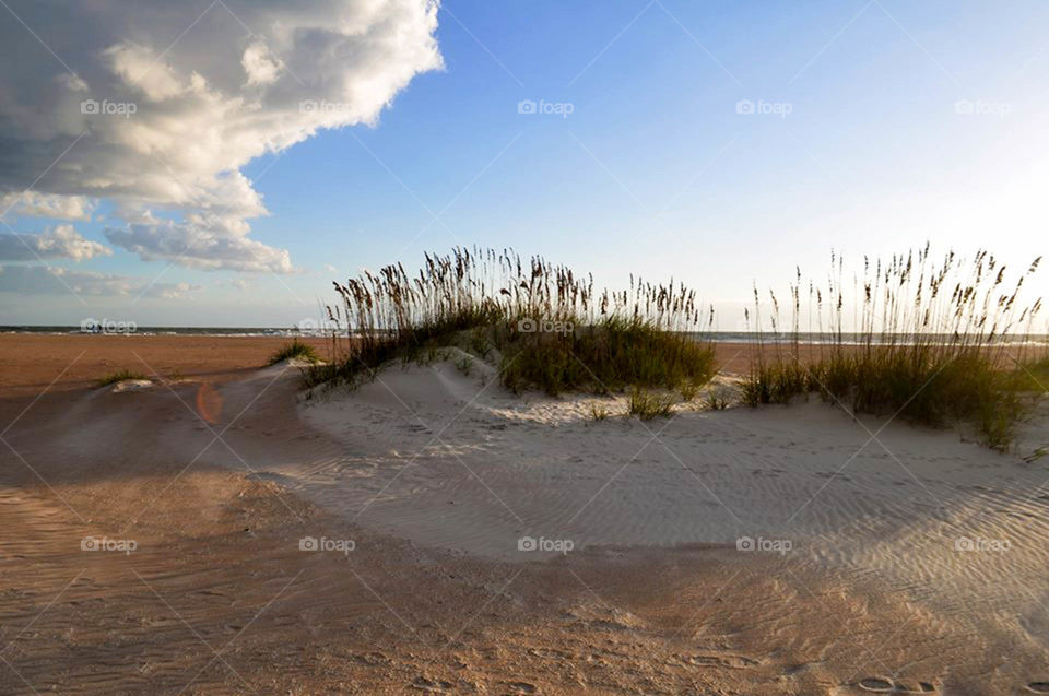 Sand Dunes. Dunes in St. Augustine,  Florida