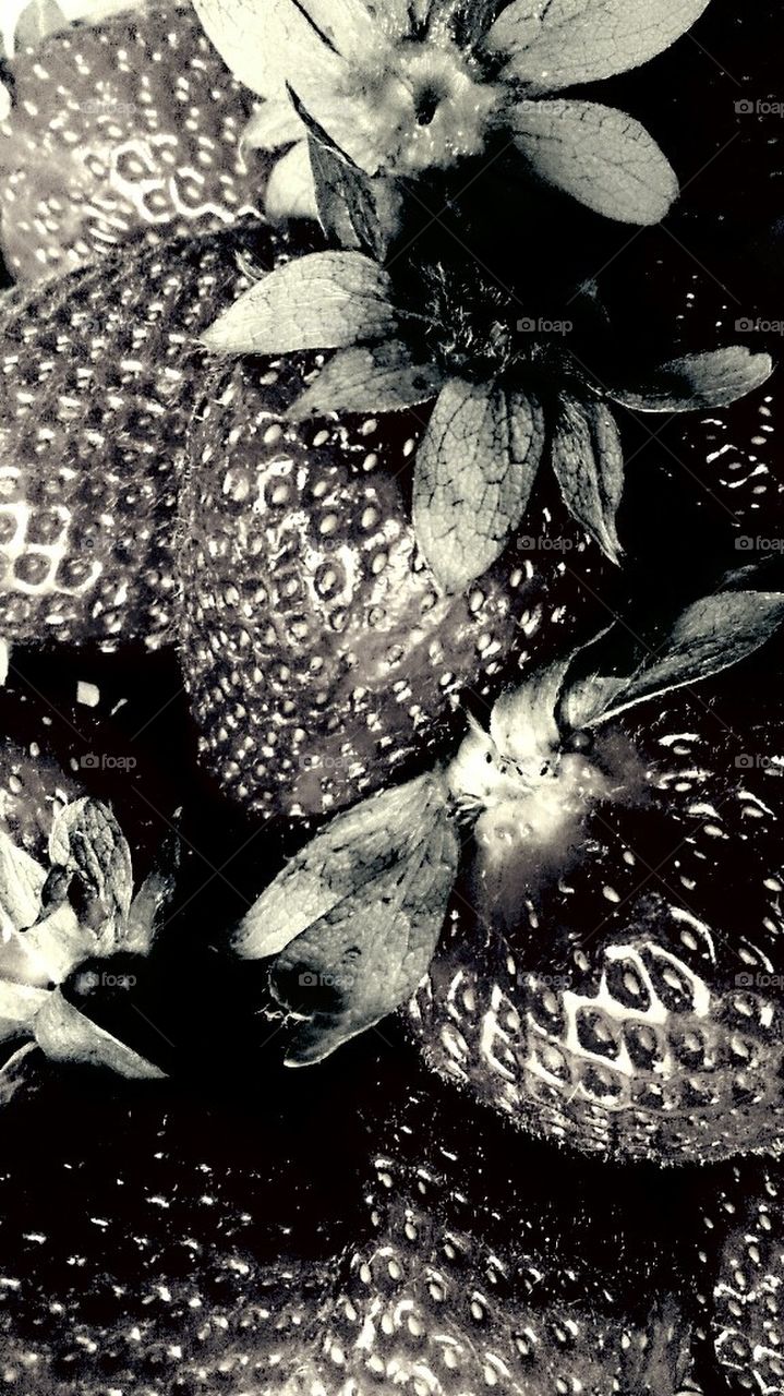 strawberries b/w